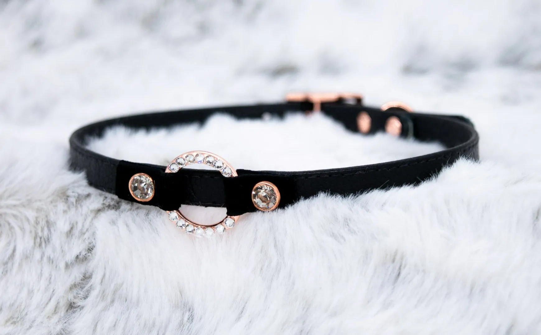 3/8" Swarovski Deluxe O-ring Black Leather and Velvet Collar in Rose Gold