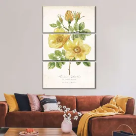 A Classic Botanical II Wall Art